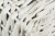 b5d9a3a41651478eec91e0a535e19966